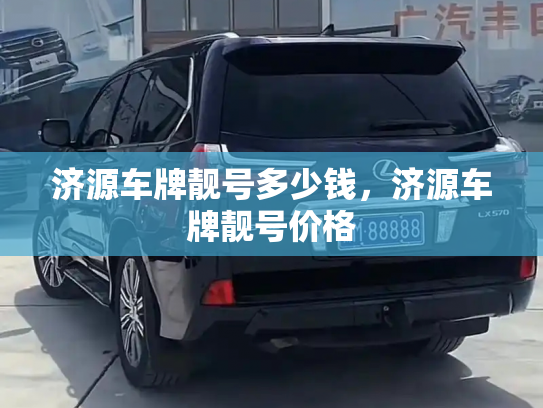 济源车牌靓号多少钱，济源车牌靓号价格-第3张图片-七号汽车选号