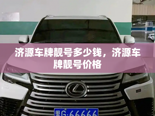 济源车牌靓号多少钱，济源车牌靓号价格-第4张图片-七号汽车选号