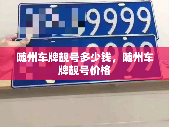 随州车牌靓号多少钱，随州车牌靓号价格-第3张图片-七号汽车选号