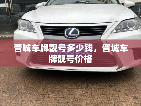 晋城车牌靓号多少钱，晋城车牌靓号价格-第3张图片-七号汽车选号