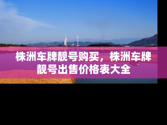 株洲车牌靓号购买，株洲车牌靓号出售价格表大全-第1张图片-七号汽车选号