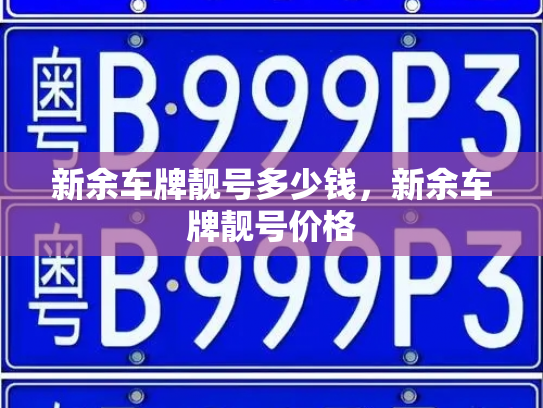 新余车牌靓号多少钱,新余车牌靓号价格-第4张图片-七号汽车选号 新余车牌靓号多少钱,新余车牌靓号价格-第4张图片-七号汽车选号