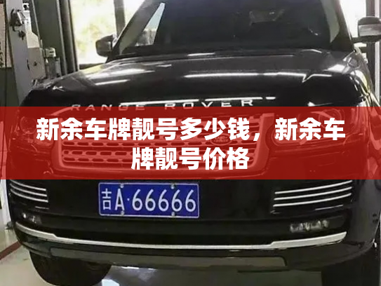 新余车牌靓号多少钱,新余车牌靓号价格-第2张图片-七号汽车选号 新余车牌靓号多少钱,新余车牌靓号价格-第2张图片-七号汽车选号