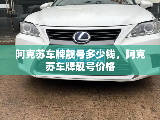 阿克苏车牌靓号多少钱,阿克苏车牌靓号价格-第3张图片-七号汽车选号 阿克苏车牌靓号多少钱,阿克苏车牌靓号价格-第3张图片-七号汽车选号