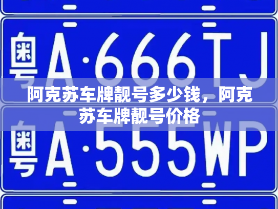 阿克苏车牌靓号多少钱,阿克苏车牌靓号价格-第4张图片-七号汽车选号 阿克苏车牌靓号多少钱,阿克苏车牌靓号价格-第4张图片-七号汽车选号