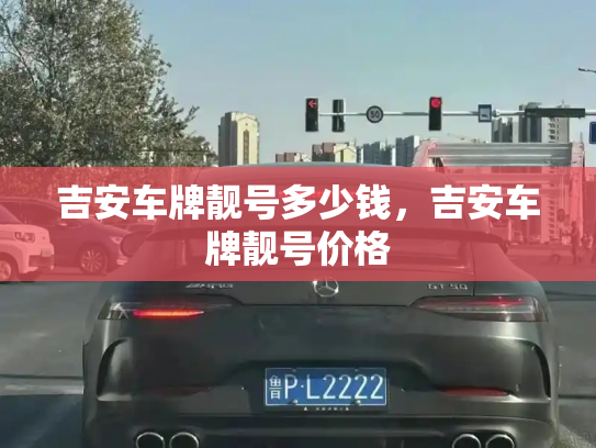 吉安车牌靓号多少钱,吉安车牌靓号价格-第4张图片-七号汽车选号 吉安车牌靓号多少钱,吉安车牌靓号价格-第4张图片-七号汽车选号
