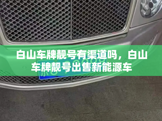 白山车牌靓号有渠道吗，白山车牌靓号出售新能源车-第3张图片-七号汽车选号