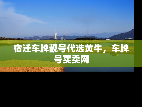 宿迁车牌靓号代选黄牛，车牌号买卖网