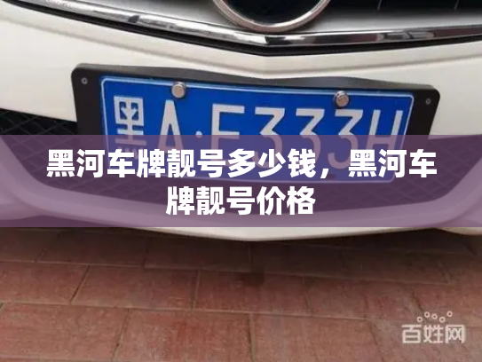 黑河车牌靓号多少钱,黑河车牌靓号价格-第3张图片-七号汽车选号 黑河车牌靓号多少钱,黑河车牌靓号价格-第3张图片-七号汽车选号