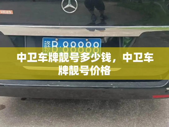 中卫车牌靓号多少钱,中卫车牌靓号价格-第4张图片-七号汽车选号 中卫车牌靓号多少钱,中卫车牌靓号价格-第4张图片-七号汽车选号