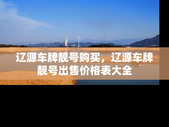 辽源车牌靓号购买，辽源车牌靓号出售价格表大全-第1张图片-七号汽车选号