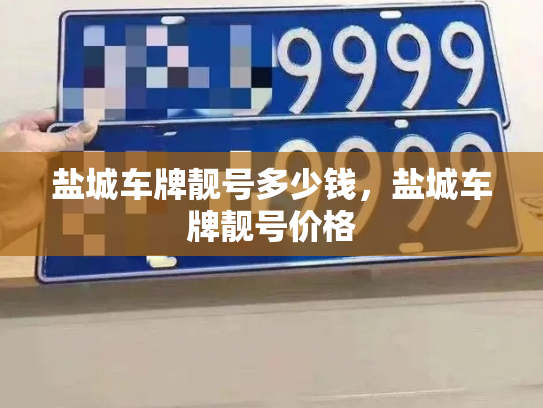 盐城车牌靓号多少钱,盐城车牌靓号价格-第3张图片-七号汽车选号 盐城车牌靓号多少钱,盐城车牌靓号价格-第3张图片-七号汽车选号