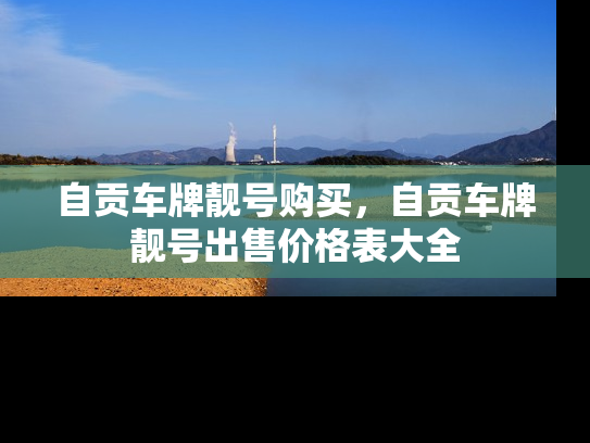自贡车牌靓号购买，自贡车牌靓号出售价格表大全-第1张图片-七号汽车选号