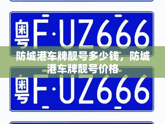 防城港车牌靓号多少钱，防城港车牌靓号价格-第3张图片-七号汽车选号