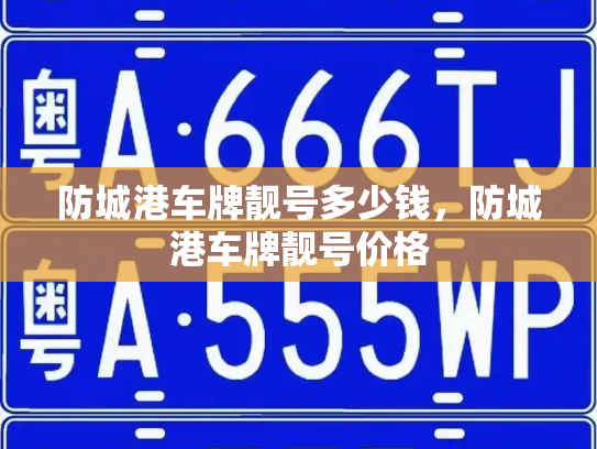 防城港车牌靓号多少钱，防城港车牌靓号价格-第4张图片-七号汽车选号