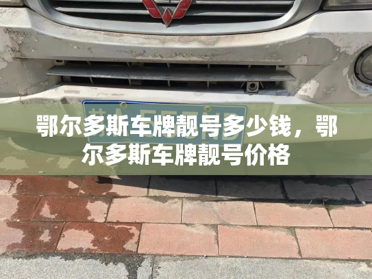 鄂尔多斯车牌靓号多少钱，鄂尔多斯车牌靓号价格-第4张图片-七号汽车选号