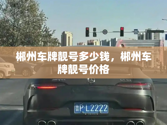 郴州车牌靓号多少钱,郴州车牌靓号价格-第3张图片-七号汽车选号 郴州车牌靓号多少钱,郴州车牌靓号价格-第3张图片-七号汽车选号