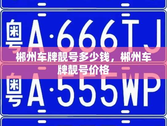 郴州车牌靓号多少钱,郴州车牌靓号价格-第4张图片-七号汽车选号 郴州车牌靓号多少钱,郴州车牌靓号价格-第4张图片-七号汽车选号