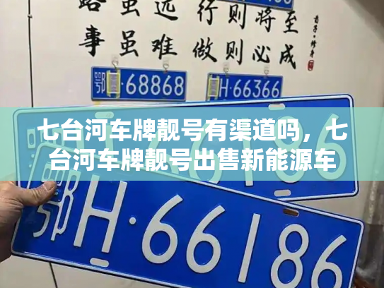 七台河车牌靓号有渠道吗，七台河车牌靓号出售新能源车-第2张图片-七号汽车选号