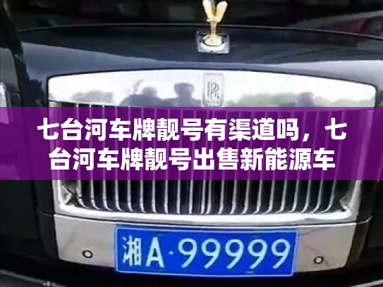 七台河车牌靓号有渠道吗，七台河车牌靓号出售新能源车-第3张图片-七号汽车选号