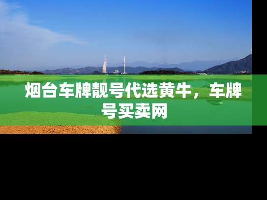 烟台车牌靓号代选黄牛，车牌号买卖网