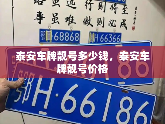 泰安车牌靓号多少钱,泰安车牌靓号价格-第3张图片-七号汽车选号 泰安车牌靓号多少钱,泰安车牌靓号价格-第3张图片-七号汽车选号