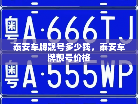 泰安车牌靓号多少钱,泰安车牌靓号价格-第2张图片-七号汽车选号 泰安车牌靓号多少钱,泰安车牌靓号价格-第2张图片-七号汽车选号