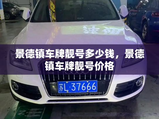 景德镇车牌靓号多少钱,景德镇车牌靓号价格-第3张图片-七号汽车选号 景德镇车牌靓号多少钱,景德镇车牌靓号价格-第3张图片-七号汽车选号