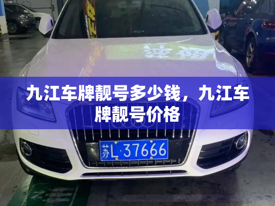 九江车牌靓号多少钱，九江车牌靓号价格-第2张图片-七号汽车选号