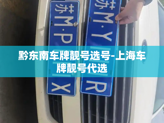 黔东南车牌靓号选号-上海车牌靓号代选-第3张图片-七号汽车选号 黔东南车牌靓号选号-上海车牌靓号代选-第3张图片-七号汽车选号