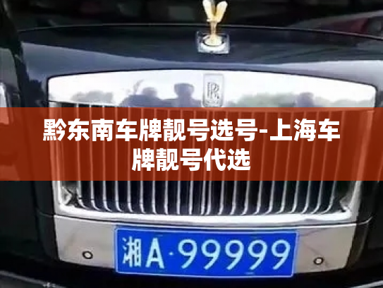 黔东南车牌靓号选号-上海车牌靓号代选-第4张图片-七号汽车选号 黔东南车牌靓号选号-上海车牌靓号代选-第4张图片-七号汽车选号