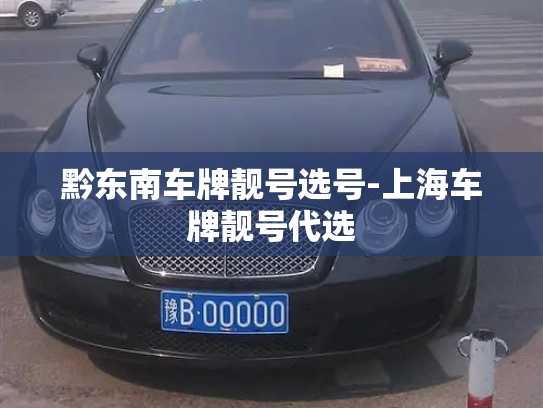 黔东南车牌靓号选号-上海车牌靓号代选-第2张图片-七号汽车选号 黔东南车牌靓号选号-上海车牌靓号代选-第2张图片-七号汽车选号