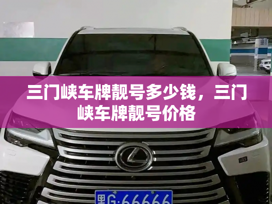 三门峡车牌靓号多少钱,三门峡车牌靓号价格-第3张图片-七号汽车选号 三门峡车牌靓号多少钱,三门峡车牌靓号价格-第3张图片-七号汽车选号