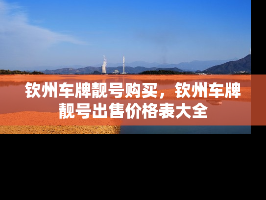 钦州车牌靓号购买，钦州车牌靓号出售价格表大全-第1张图片-七号汽车选号