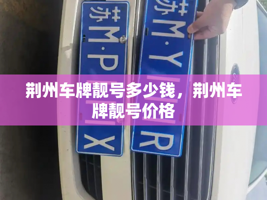 荆州车牌靓号多少钱,荆州车牌靓号价格-第3张图片-七号汽车选号 荆州车牌靓号多少钱,荆州车牌靓号价格-第3张图片-七号汽车选号