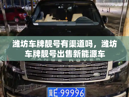 潍坊车牌靓号有渠道吗,潍坊车牌靓号出售新能源车-第2张图片-七号汽车选号 潍坊车牌靓号有渠道吗,潍坊车牌靓号出售新能源车-第2张图片-七号汽车选号