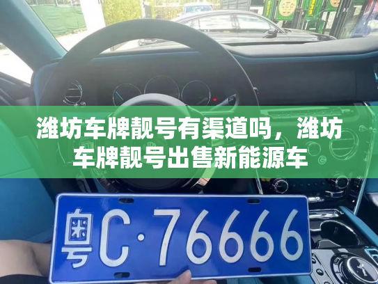 潍坊车牌靓号有渠道吗,潍坊车牌靓号出售新能源车-第3张图片-七号汽车选号 潍坊车牌靓号有渠道吗,潍坊车牌靓号出售新能源车-第3张图片-七号汽车选号