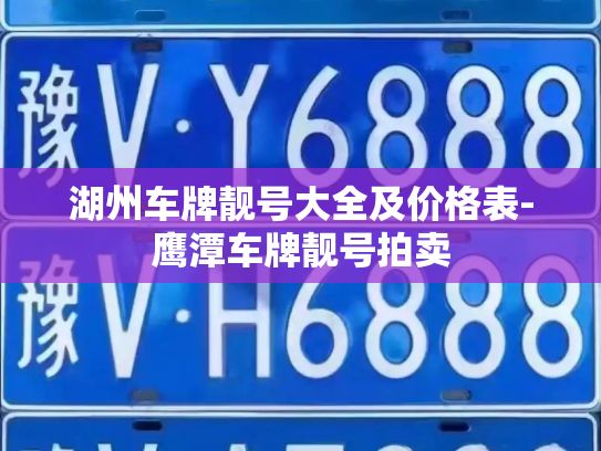 湖州车牌靓号大全及价格表-鹰潭车牌靓号拍卖-第3张图片-七号汽车选号