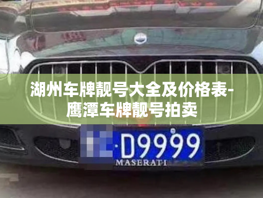 湖州车牌靓号大全及价格表-鹰潭车牌靓号拍卖-第2张图片-七号汽车选号
