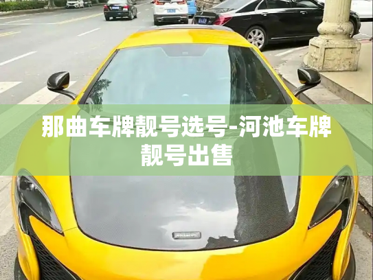 那曲车牌靓号选号-河池车牌靓号出售-第3张图片-七号汽车选号 那曲车牌靓号选号-河池车牌靓号出售-第3张图片-七号汽车选号