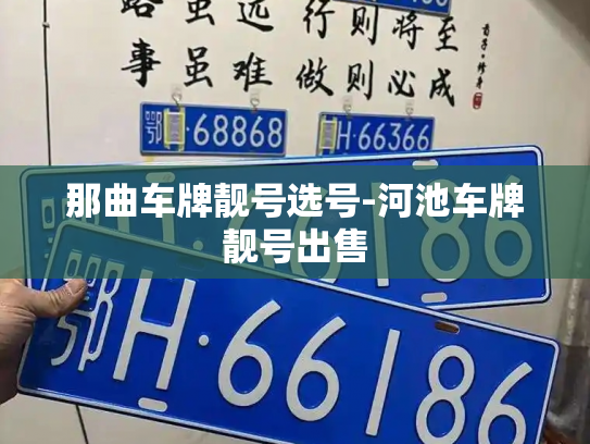 那曲车牌靓号选号-河池车牌靓号出售-第4张图片-七号汽车选号 那曲车牌靓号选号-河池车牌靓号出售-第4张图片-七号汽车选号