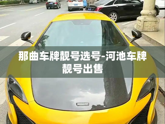 那曲车牌靓号选号-河池车牌靓号出售-第2张图片-七号汽车选号 那曲车牌靓号选号-河池车牌靓号出售-第2张图片-七号汽车选号