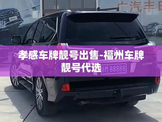 孝感车牌靓号出售-福州车牌靓号代选-第3张图片-七号汽车选号 孝感车牌靓号出售-福州车牌靓号代选-第3张图片-七号汽车选号