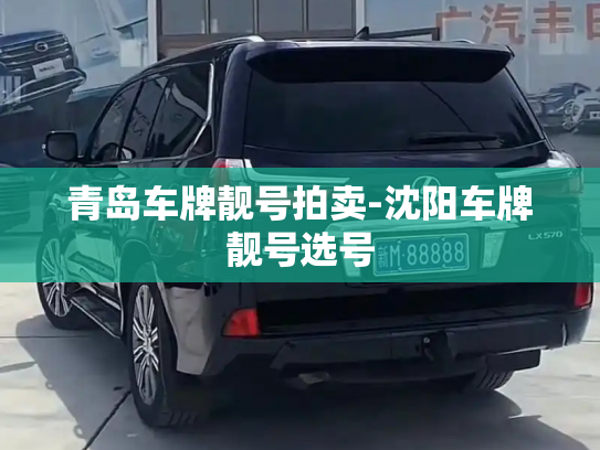 青岛车牌靓号拍卖-沈阳车牌靓号选号-第3张图片-七号汽车选号 青岛车牌靓号拍卖-沈阳车牌靓号选号-第3张图片-七号汽车选号