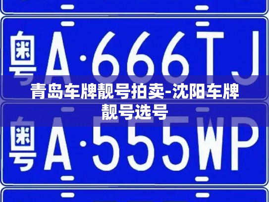 青岛车牌靓号拍卖-沈阳车牌靓号选号-第4张图片-七号汽车选号 青岛车牌靓号拍卖-沈阳车牌靓号选号-第4张图片-七号汽车选号