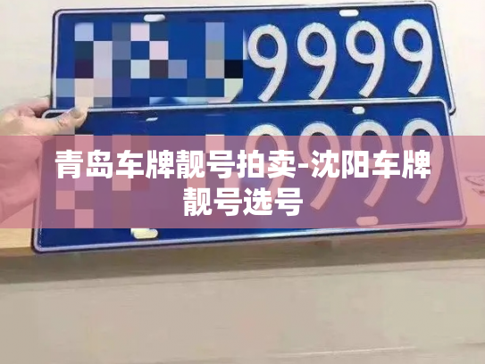 青岛车牌靓号拍卖-沈阳车牌靓号选号-第2张图片-七号汽车选号 青岛车牌靓号拍卖-沈阳车牌靓号选号-第2张图片-七号汽车选号