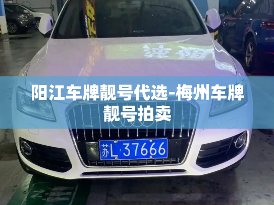 阳江车牌靓号代选-梅州车牌靓号拍卖-第3张图片-七号汽车选号 阳江车牌靓号代选-梅州车牌靓号拍卖-第3张图片-七号汽车选号