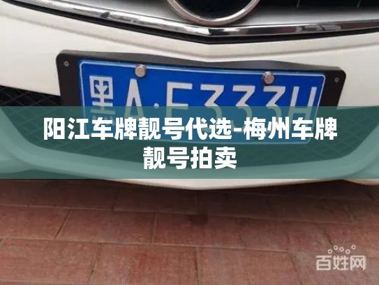 阳江车牌靓号代选-梅州车牌靓号拍卖-第4张图片-七号汽车选号 阳江车牌靓号代选-梅州车牌靓号拍卖-第4张图片-七号汽车选号