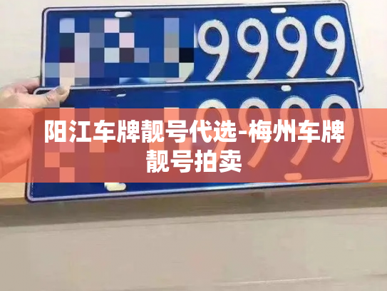 阳江车牌靓号代选-梅州车牌靓号拍卖-第2张图片-七号汽车选号 阳江车牌靓号代选-梅州车牌靓号拍卖-第2张图片-七号汽车选号