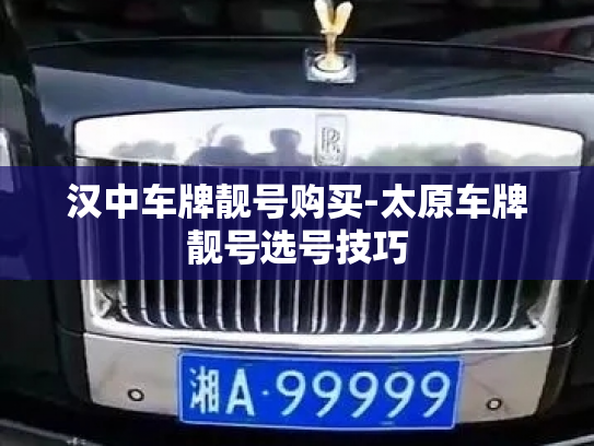 汉中车牌靓号购买-太原车牌靓号选号技巧-第4张图片-七号汽车选号 汉中车牌靓号购买-太原车牌靓号选号技巧-第4张图片-七号汽车选号
